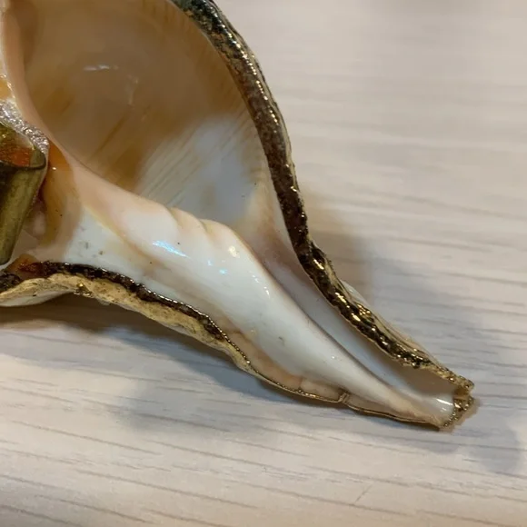 Vintage 1970s Real Shell Belt Buckle Ivory & Gold Nautical Coastal Beach Vibe - Picture 6 of 17